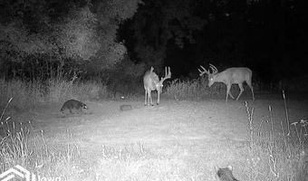 560 Th Ave, Albia, IA 52531