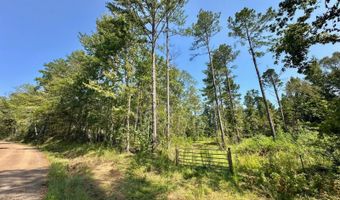 1 Prentiss Crump Rd, Terry, MS 39170