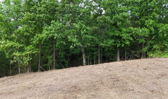 Lot 53 Bayside Boulevard, Bean Station, TN 37708