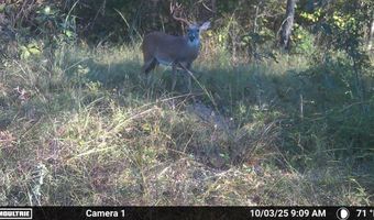 N80 Helt Rd, Antlers, OK 74525