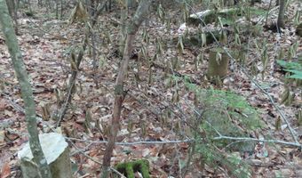 Wendy Drive lot 134-135, Alton, NH 03810