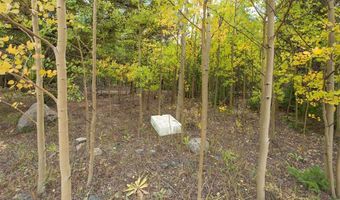 452 QUARTZVILLE Rd, Alma, CO 80420