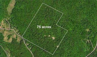 Lot 28.1 Shaver hollow, Andes, NY 13731