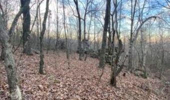 Whiskey Creek Lane, Batesville, AR 72501