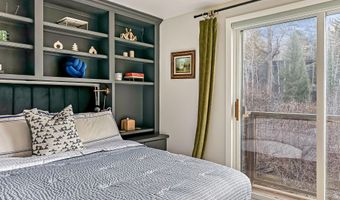 1050 Waters Ave 9, Aspen, CO 81611