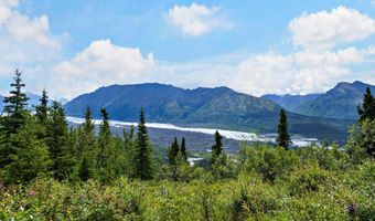 29601 W Glenn Hwy, Chickaloon, AK 99674