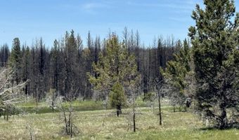 Off Hicks Road Lot 3, Bly, OR 97622