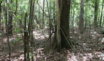 00 Pinola Braxton Rd, Braxton, MS 39044