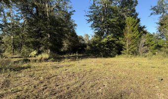 2978 NW Switzer Ln, Altha, FL 32421