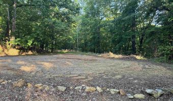 0 DAVIS ACRES Dr 72 & 73, Alpine, AL 35014