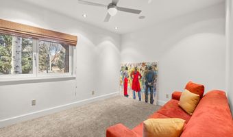 824 Bonita Dr, Aspen, CO 81611