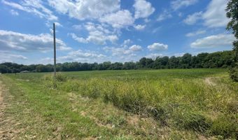 1338 Beulah Rd, Beulah, MS 38726