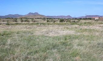 Tract 85 Sierra La Rana, Alpine, TX 79830