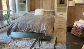 311 S Aspen St 3, Aspen, CO 81611