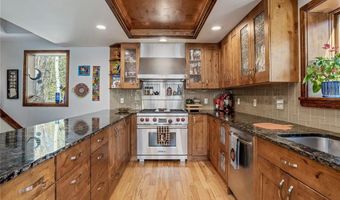 495 EDGEWOOD Rd, Alma, CO 80420