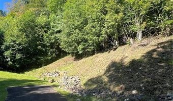 172 Hump View Trl, Banner Elk, NC 28604