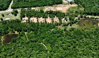 1 97 +/- Acres Airport Rd Lot 4, Andalusia, AL 36421