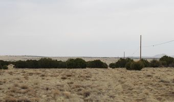 21 County Rd, Concho, AZ 85924