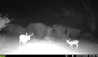 CR 119 lot 0, Alice, TX 78332