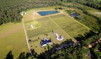 1054 Penny Morris Rd, Baxley, GA 31513