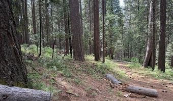 3129 Crystal Way, Arnold, CA 95223