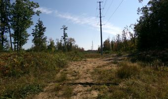 V/L 30AC Lake Winyah Road, Alpena, MI 49707