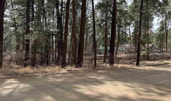 102 E Valley View Dr, Bayfield, CO 81122