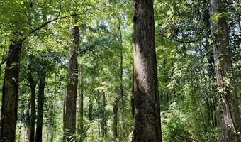 Danford Road, Ashford, AL 36312