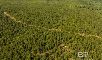 Flowers Road, Bay Minette, AL 36507