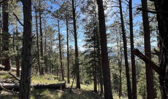 141 Afv N Back Basin Rd, Angel Fire, NM 87710