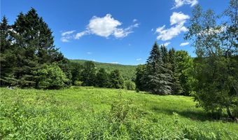 2613 Murphy Hill Rd, Andes, NY 13731