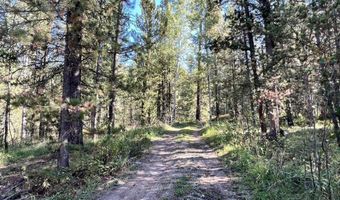 415 FOREST 21, Alpine, WY 83128