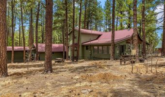 8 County Road 2267, Alpine, AZ 85920