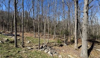 ES71 Twisted Oak Path, Banner Elk, NC 28604