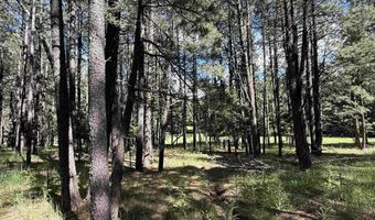 Lot 940 White Sands Circle, Angel Fire, NM 87710