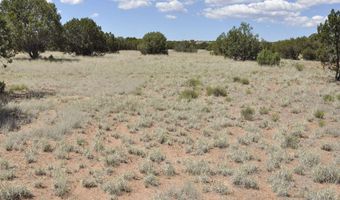 697 County Rd 9047, Concho, AZ 85924