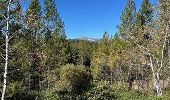 Sky Horse Drive lot 37, Cascade, ID 83611