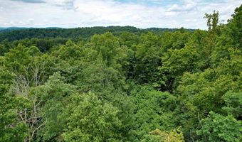 Pheasant Chase lot 3812 81 T, Ararat, VA 24053