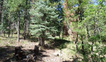 9 County Road 2073, Alpine, AZ 85920