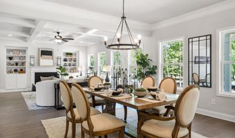 8620 Standing Stone, Ball Ground, GA 30107