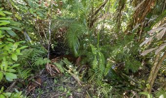 62 HOOLAWA Rd B, Haiku, HI 96708