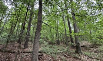 Lot 3a Elberton Highway, Lincolnton, GA 30817