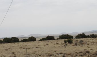 21 County Rd, Concho, AZ 85924