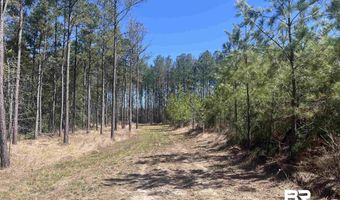 9 Robinsonville Rd, Atmore, AL 36502