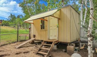 331 Bluebird Ln, Bailey, CO 80421