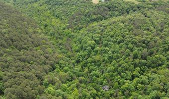E Mountain Road, Bee Branch, AR 72013