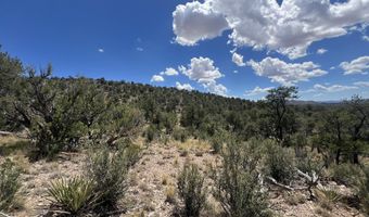 109 Of Twin Fawn Ln, Ash Fork, AZ 86320