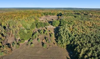 6639 Reams Rd, Alanson, MI 49706