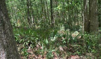 Highway 27, Attapulgus, GA 39815