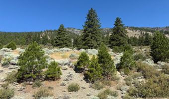 2592 Eagle Ridge Rd 29, Genoa, NV 89411